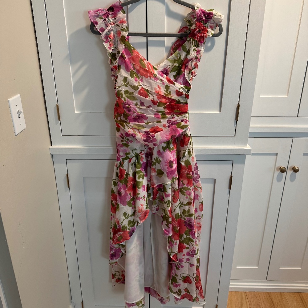 Abercrombie & Fitch Floral Dress with Strawberry Accents XXS